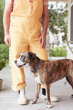 Load image into Gallery viewer, Golden Watermelon Overalls